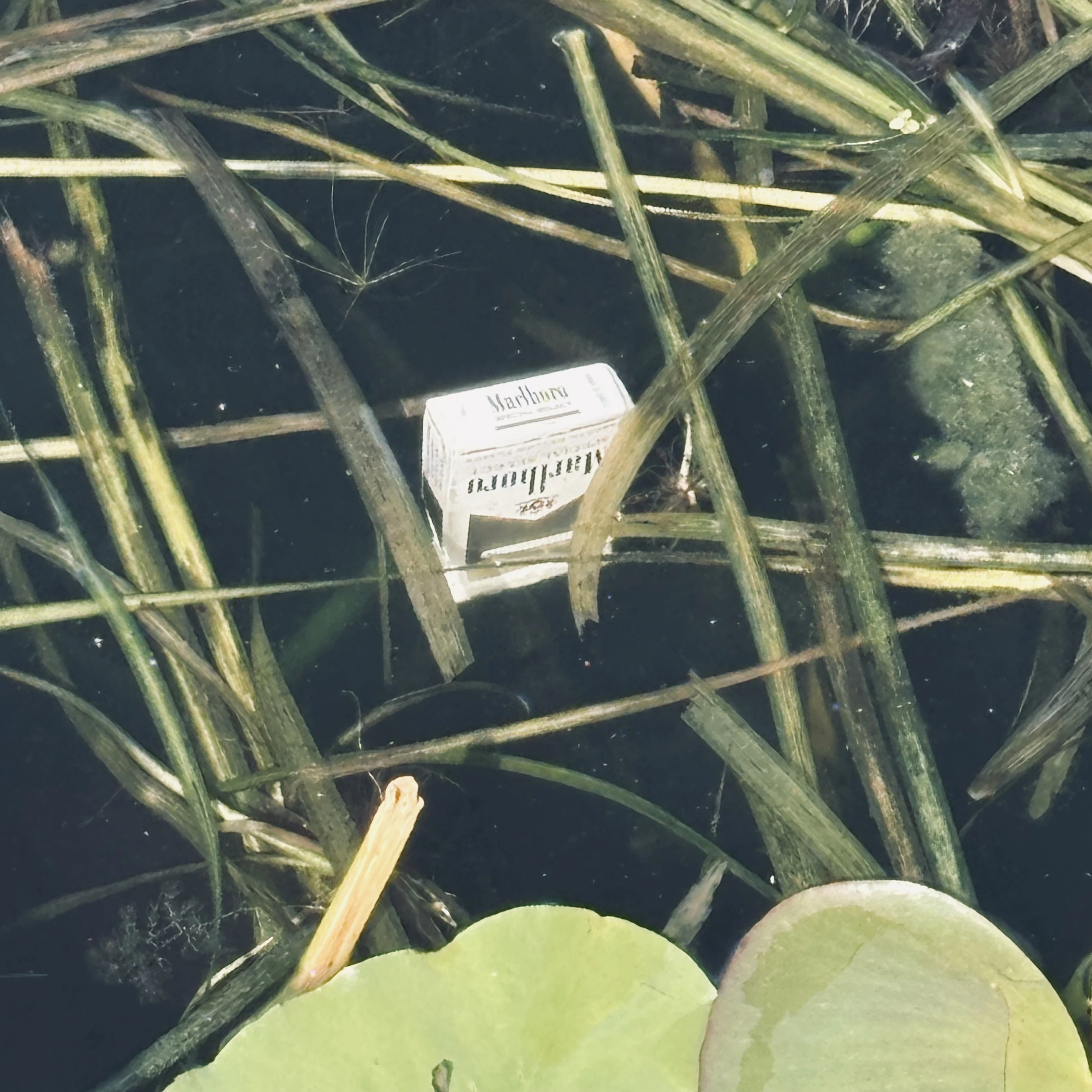 A photo of a box of cigarettes floating upside-down in a lake.