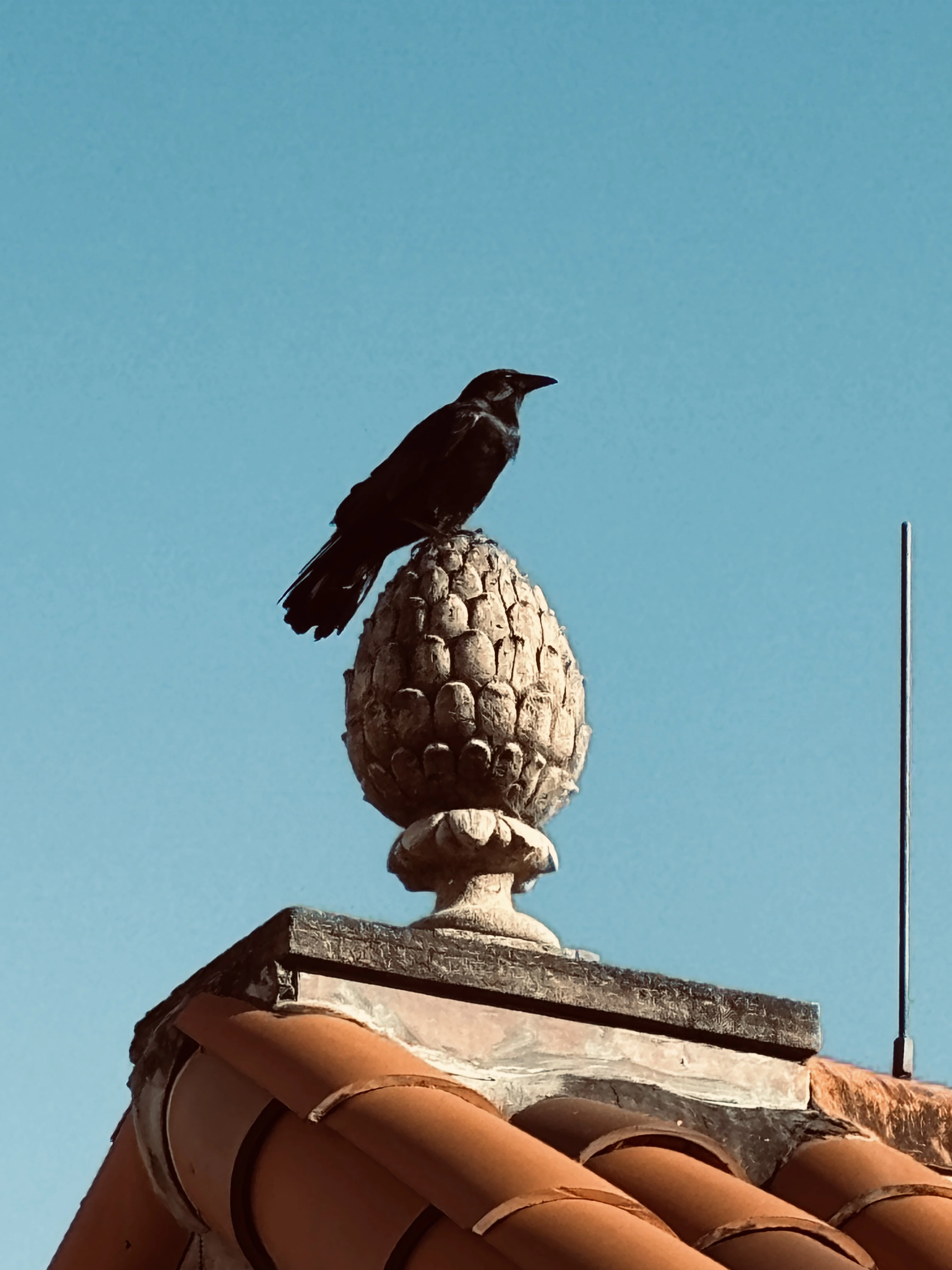 A photo of a crow on an egg-shaped statue against a bright blue sky. The colors are made sharper and more dramatic by a filter.